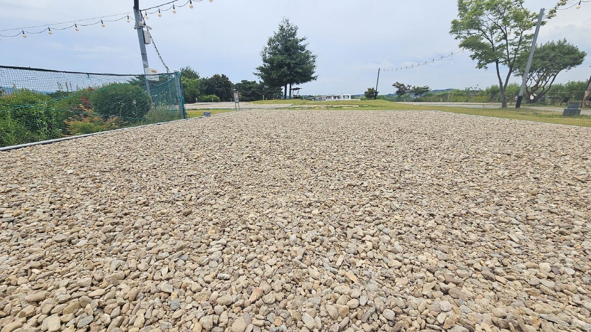 오토캠핑&차박사이트(A-1 ~ A-5)랜덤배정5 이미지 5