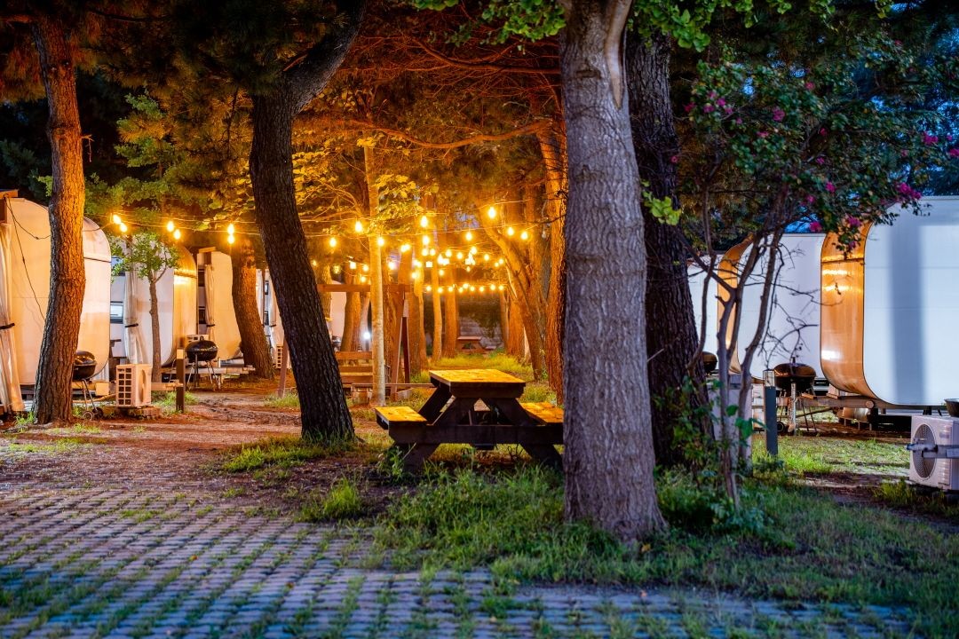 솔향 강릉 캠핑장