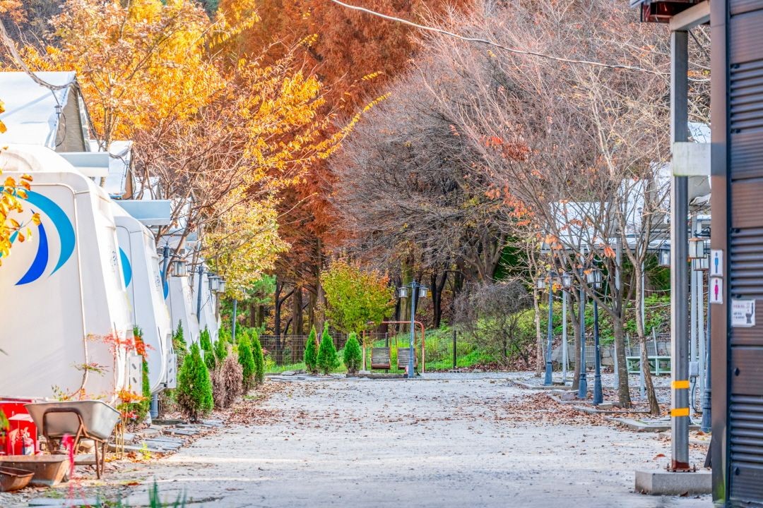 대전 꿈꾸는 농부